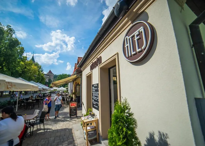 Гостевой дом Alej